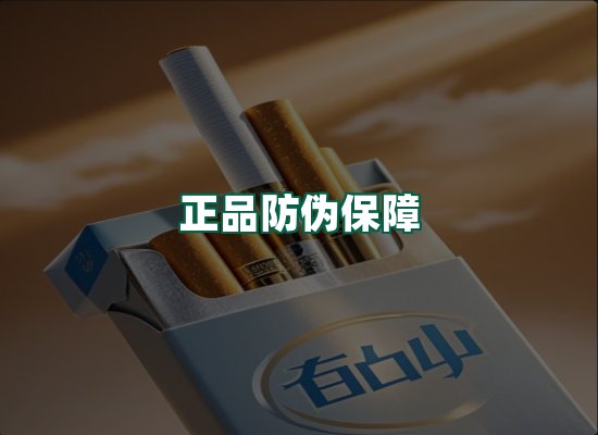 核心优势